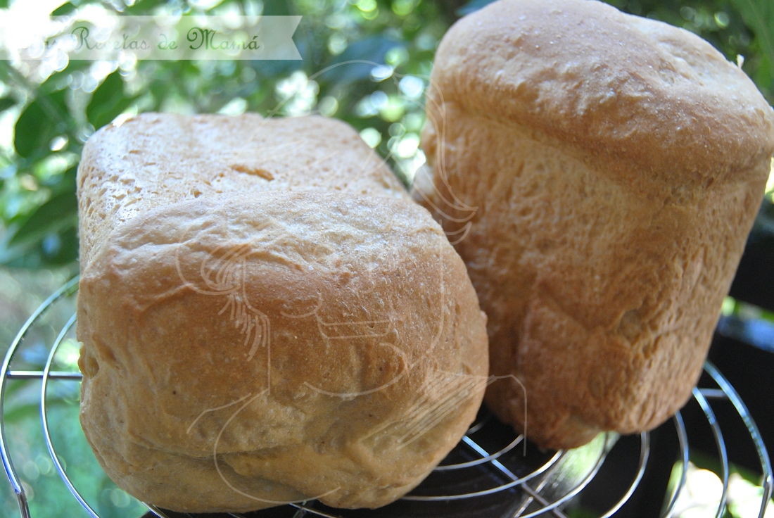 Pan con harina de maíz | Las Recetas de Mamá